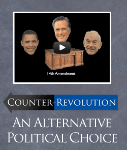 Counter-Revolution: An Alternative Political Choice